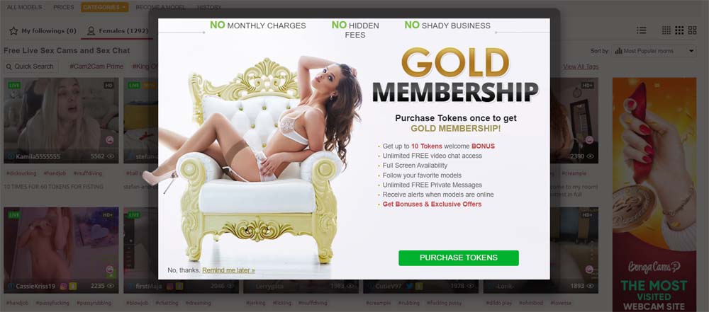 Bonga Cams Pop Up